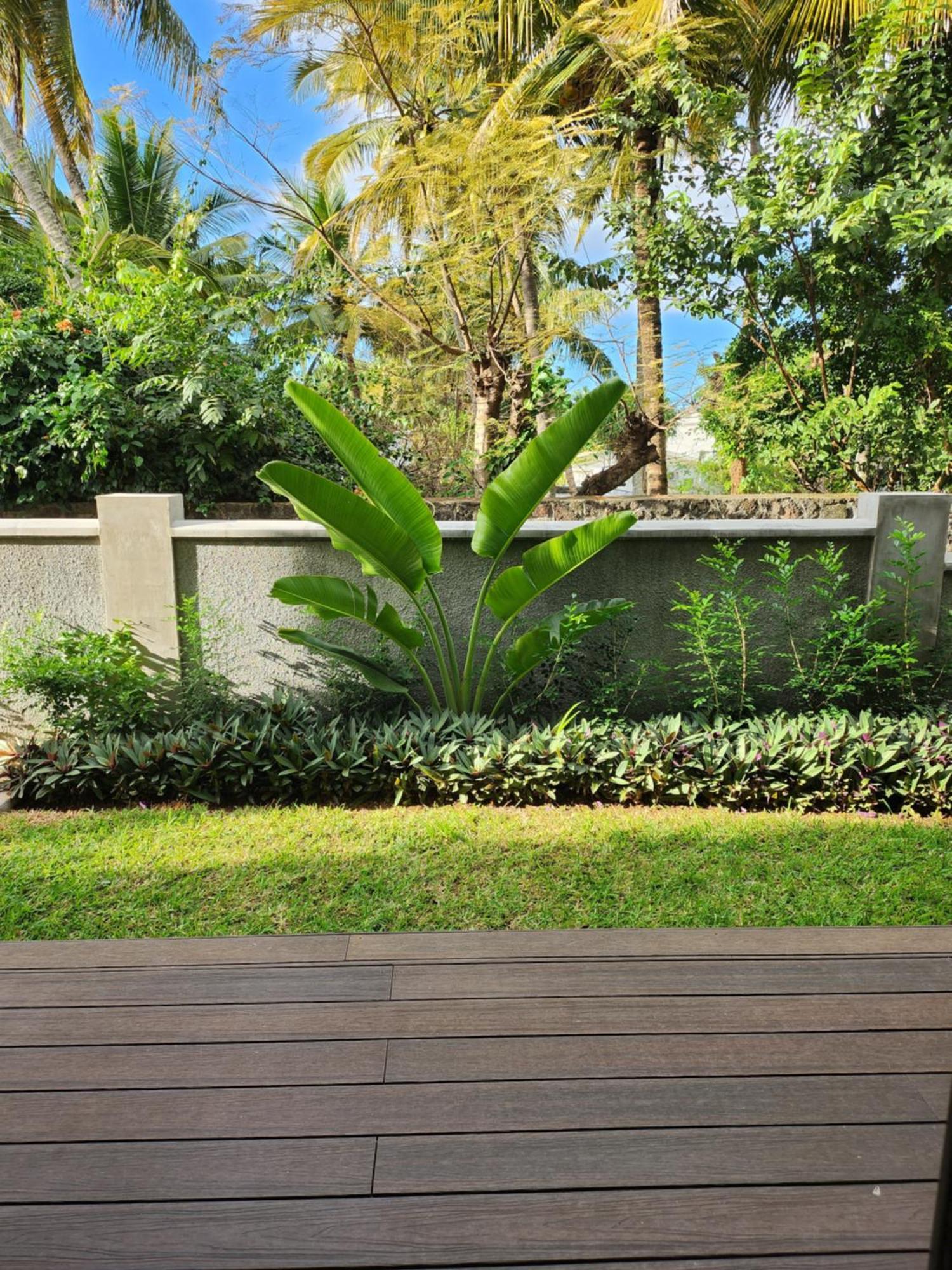 Soleia 3 In Mauritius